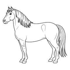 horse vector illustration coloring page line art