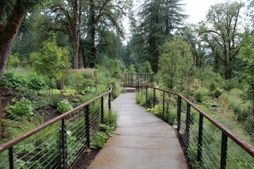 Fototapeta premium Path through Garden; serene view, background lush woods. Landscaping or tourism