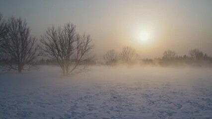 Paint quiet dawn soft focus four K lofi animation golden sun creeps over snowy field gentle fog swirling round barren trees evoking reflective winter calm study playlists mood - Powered by Adobe