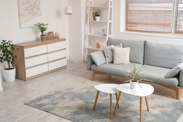 Interior of modern light living room with wooden chest of drawers and comfortable sofa