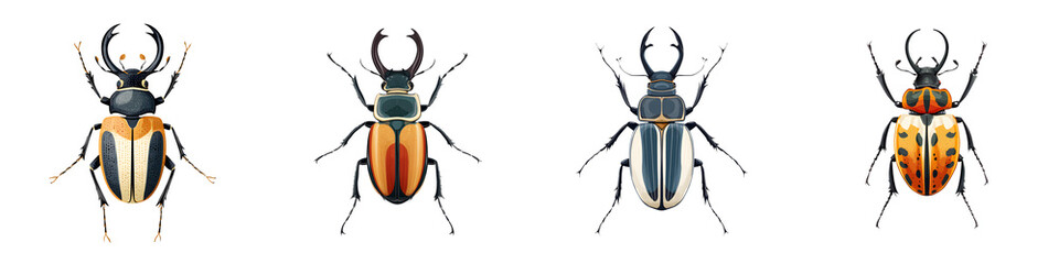 Colorful Beetle Insect Illustration Set