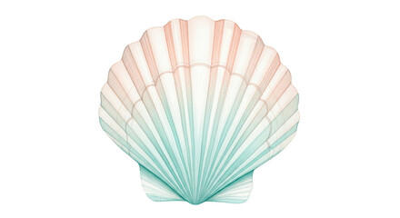 Illustrated seashell with pastel colors of pink white and blue on a black background illustration