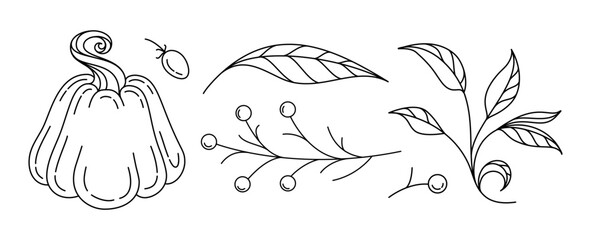 Fall border with pumpkin, berries and leaves. Monoline autumn illustration for cozy design © sablegear