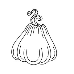 Hand-drawn monoline gourd. Autumn squash illustration for coloring pages and thanksgiving decor