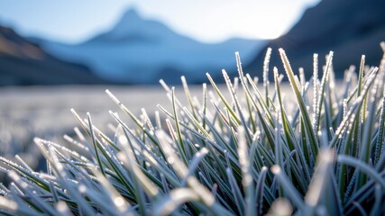 Frost covered grass glistens in morning light with majestic mountain in distance creating serene and tranquil atmosphere