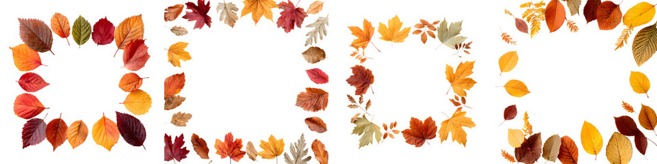 Obraz premium Autumn Leaves Frame: Fall Foliage Borders on White