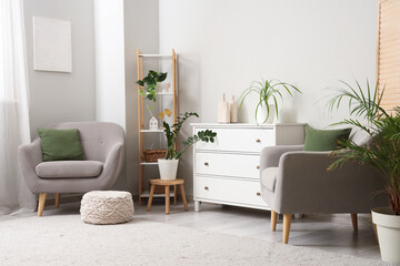 Interior of stylish living room with cozy grey armchairs, chest of drawers and houseplants