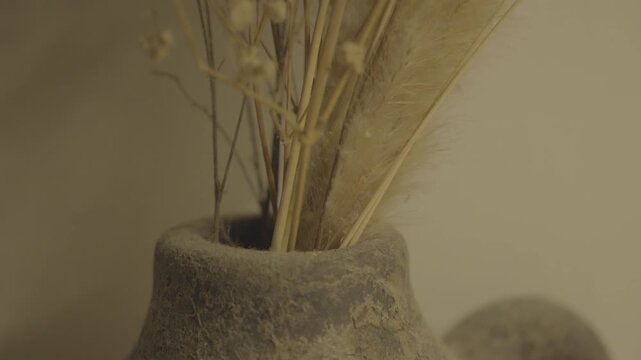 Dried Flower in Stone Pot with Rustic Mood S-Log3