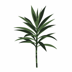 Obraz premium Stylized Dracaena Marginata Plant Illustration