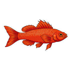 Vivid Orange Fish with Detailed Scales and Fins