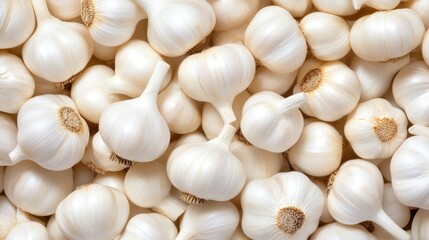 White garlic bulbs clustered