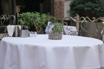 Outdoor dining table set with attractive centerpiece plant