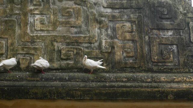 Ancient stone carving walls with dove white birds Imperial Citadel of Thang Long Hanoi Vietnam