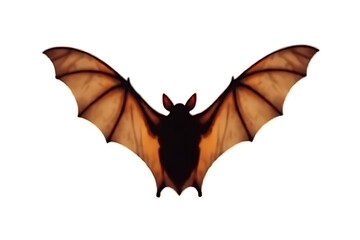 Night Hunter Bat