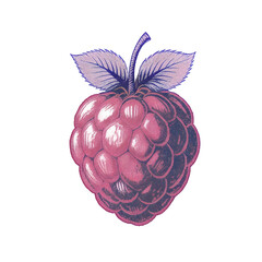 Isolated Detailed Raspberry with Red and Blue Color and Transparent Background for Design and Art Projects and Food Illustrations