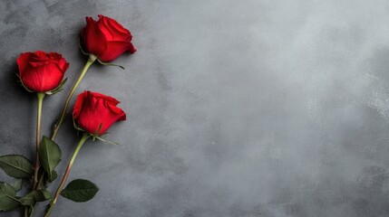 Red roses bouquet on gray surface