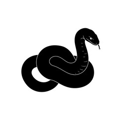 Naklejka premium A black snake coiled with its head raised and tongue out, isolated on a white background.