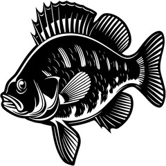 Stylized monochrome perch fish illustration