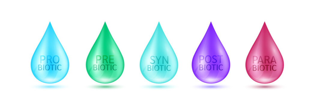 Collection water drop Prebiotic Probiotic Postbiotic Parabiotic Synbiotic on white background. Good bacterial flora for intestine and stomach. For designing dietary supplements healthy. Vector.