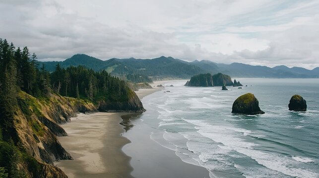 A scenic coastal landscape with sandy beaches, rocky cliffs, pine trees, and distant mountains under a cloudy sky.
