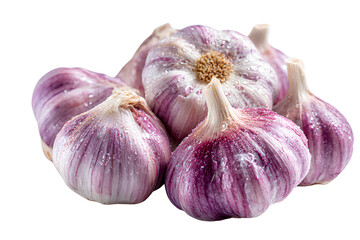 Fresh Garlic Bulbs with Water Drops Isolated on Transparent Background.

