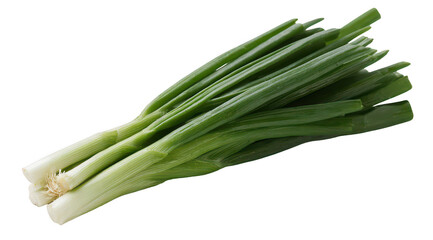 Fresh green onions bunch (1)