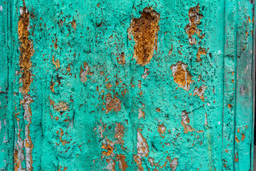 Weathered Turquoise Wood with Exposed Brown Core.  a close up of a wall. The texture of old rusty metal covered with peeling turquoise (blue, green) paint. Background for the design.