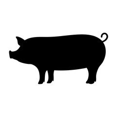 Black Silhouette of a Pig, a Domestic Animal, Isolated on White