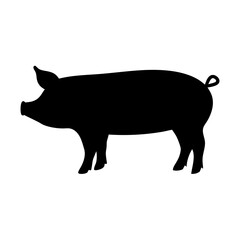 Silhouette of a pig, representing agriculture, farming and animal husbandry practices