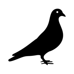 Silhouette of a pigeon or dove standing on the ground isolated