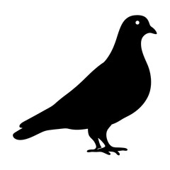 Elegant black silhouette of a pigeon standing tall on a white background