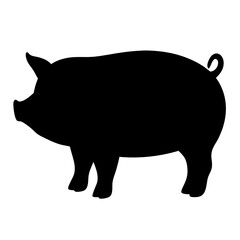 Silhouette of a domestic pig, a simple black and white illustration