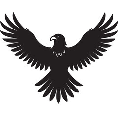 Majestic eagle illustration with detailed feathering