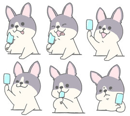 French bulldog icon set with popsicle (pied)