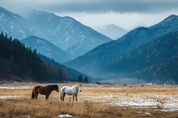 Horses feed in a snowy meadow among mountains in early spring