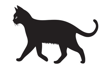 Obraz premium black cat silhouette