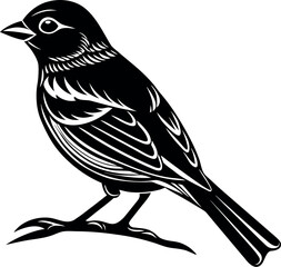 Fototapeta premium A 2D flat black silhouette of a small songbird (like a finch or warbler) perched delicately on a thin branch.