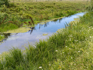 A small stream running through a lush green field © VISUAL BACKGROUND