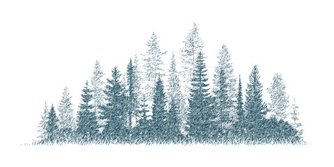Fototapeta premium The forest in the fog, imitation of a pencil drawing, vector sketch, isolated on a white background
