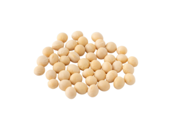 透明背景（png）に大豆（乾燥）