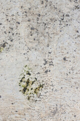 Close-up of a Weathered, Cracked Concrete With Dirt, Stains, And Moss Or Lichen Growth