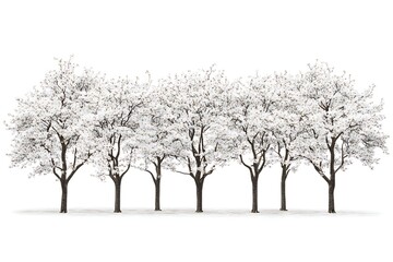 Row of blossoming trees with white flowers in spring season, nature background