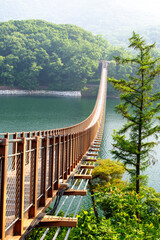 suspension bridge over the river