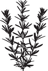 Rosemary, food clean simple silhouette