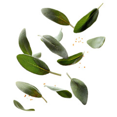 A bunch of green leaves are scattered in the air