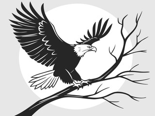 Fototapeta premium eagle on a branch