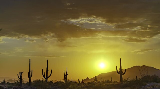 Spectacular HDR Arizona sunset!  Colorful clouds and cactus.