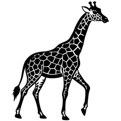 Obraz premium giraffe vector illustration