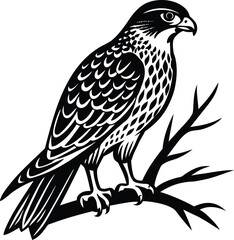 Single Hawk Bird Silhouette on Branch.