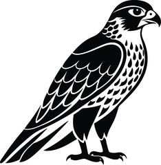 Wild Falcon Silhouette Animal Vector Art.